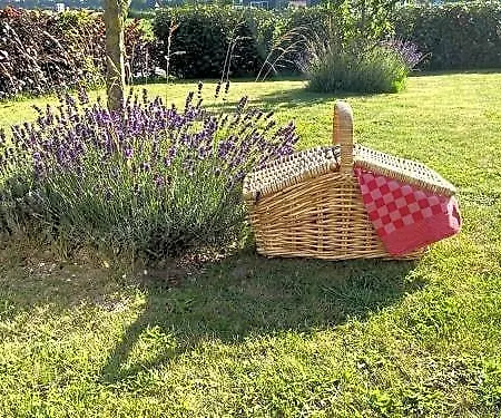 Bed & Breakfast Le Commandeur 4*